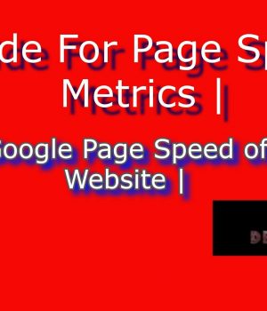 Guide For Page Speed, check Google page speed and web page speed test- deeanatech.com