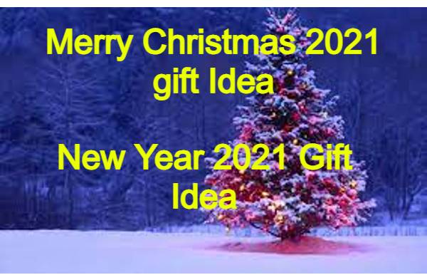 Merry Christmas 2021 gift_ Be the secret Santa Claus of your spouse on Christmas day and give this gift, make the relationship sweet