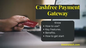 Cashfree Payment Gateway: A Complete Guide